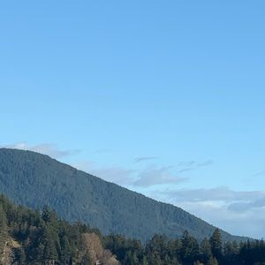 Meet your Posher, Bliss